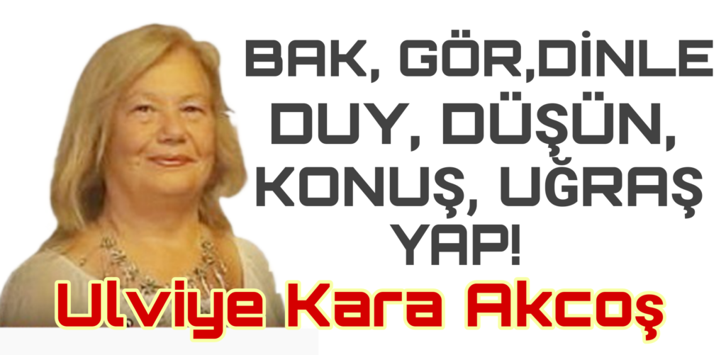Bak, Gör ,Dinle,Duy, Düşün, Konuş, Uğraş,Yap !