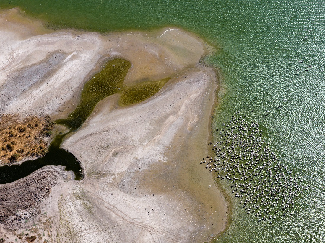 Manyas Gölü’nde Kuraklık Her Geçen Gün Etkisini Artırıyor
