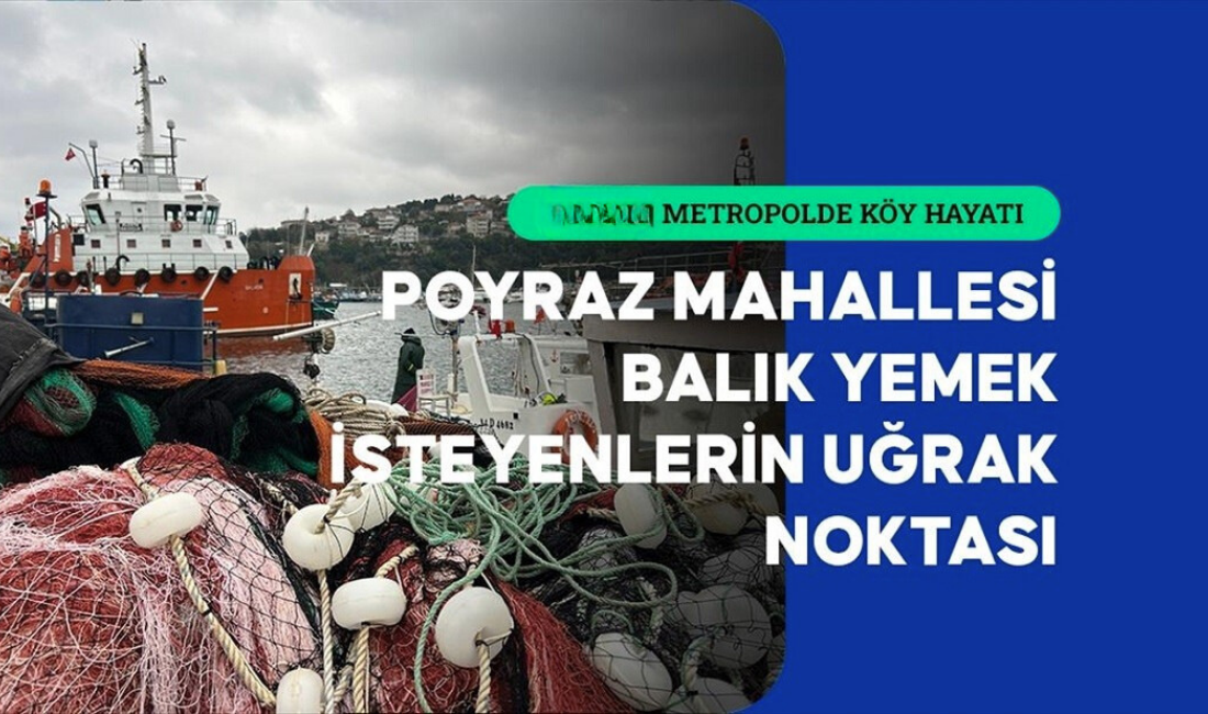 Poyrazköy’de Balıkçılık Eskisi Gibi Olmasa da Sürdürülüyor