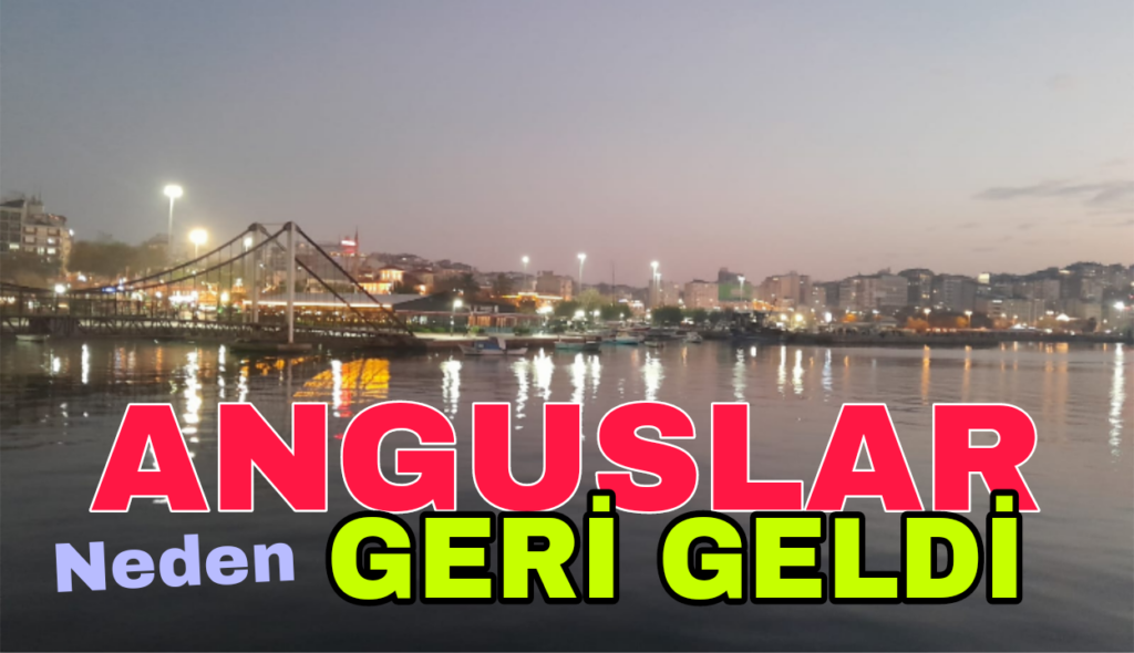 Spırıdon ll Çelebi Limana Geri Döndü