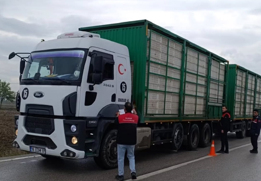 Balıkesir’de Canlı Hayvan Nakillerine Yönelik Denetimler Sıklaştırıldı