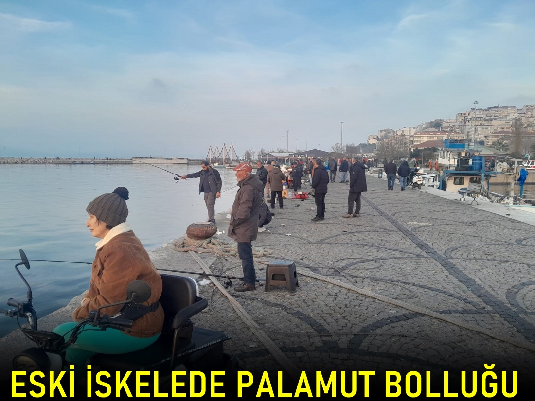 Eski İskelede Palamut Bolluğu