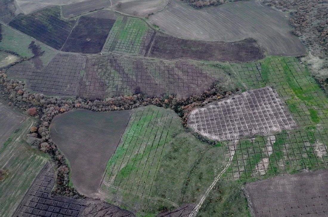 Bandırma’da 20 Bin Badem Fidanı Toprakla Buluştu