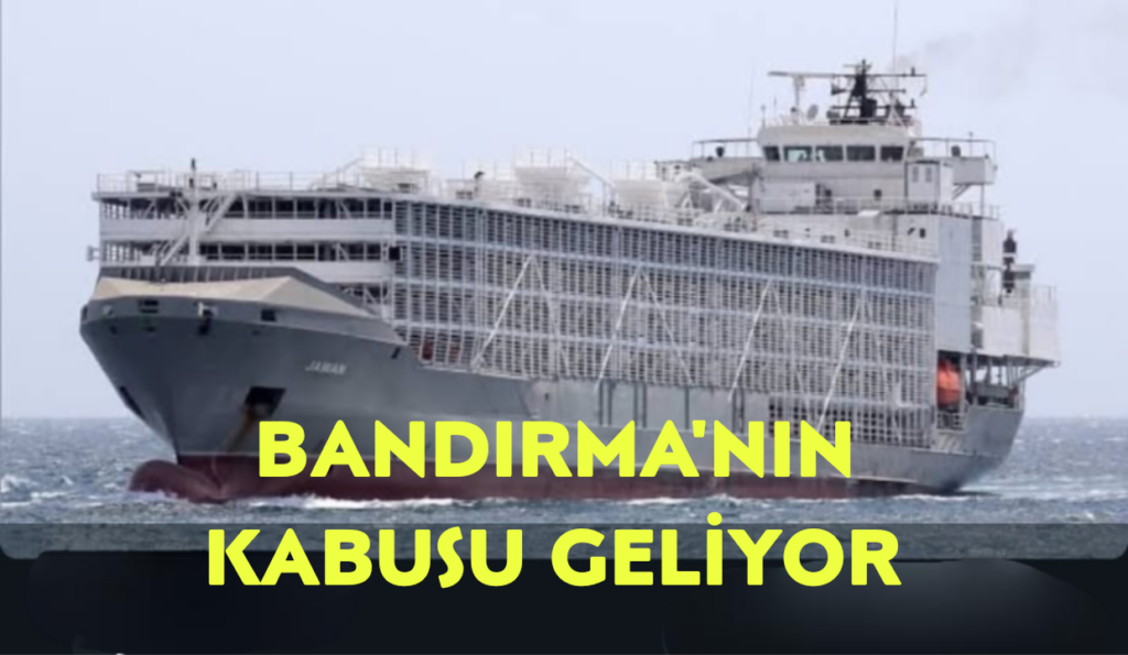 5 Bin 219 Angus Bandırma’ya Geliyor