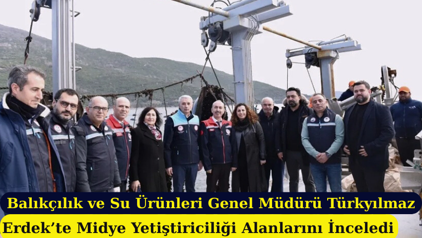 Balıkesir, Midye Üretim Kapasitesiyle Türkiye’de Lider Konumda