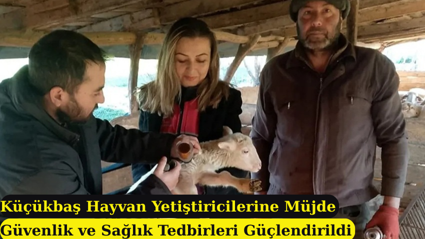 Balıkesir’de Küçükbaş Hayvanlar İçin Yeni Koruma Hamlesi Başladı