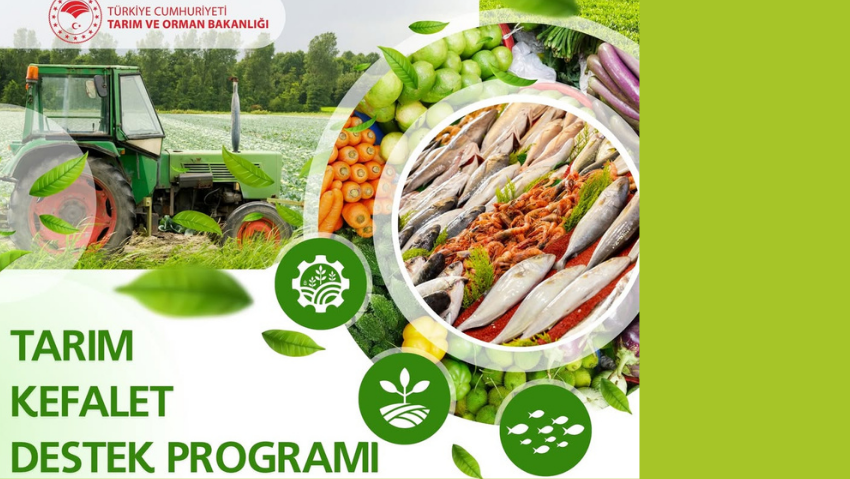 Tarım, Ormancılık ve Balıkçılık Sektörüne KGF Destekli Finansman İmkânı