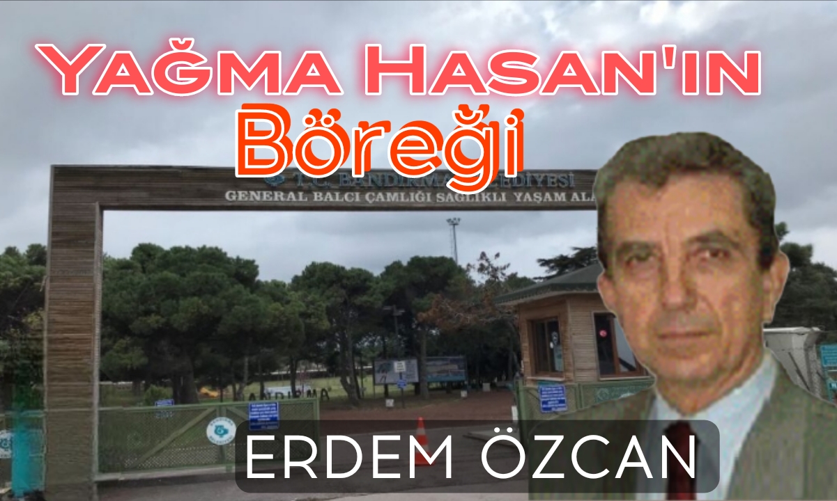 Beton Mu , Çiçek Mi  ? General Balcı Çamlığı /Erdem Özcan