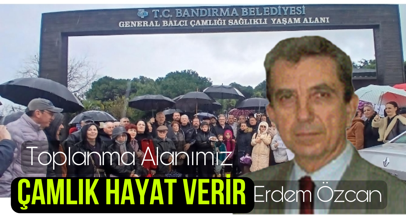 Toplanma Alanımız Çamlık Hayat Verir / Erdem Özcan