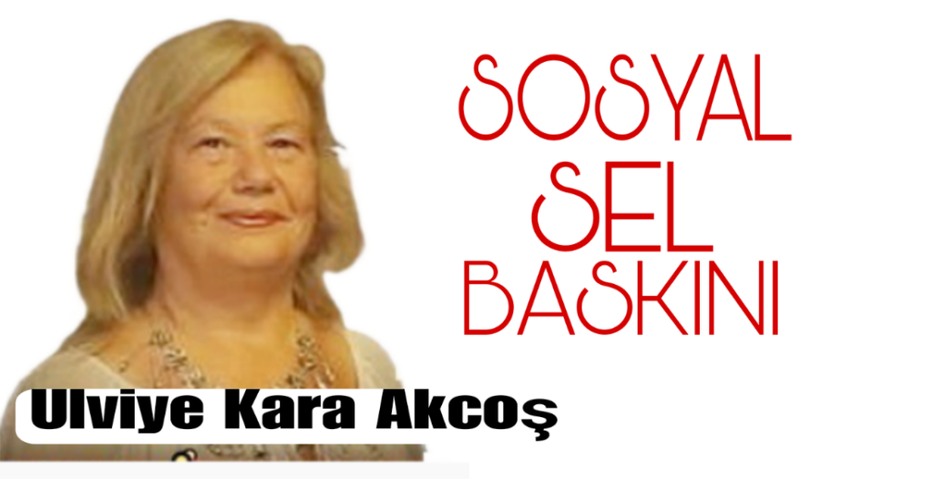 Sosyal Sel Baskını