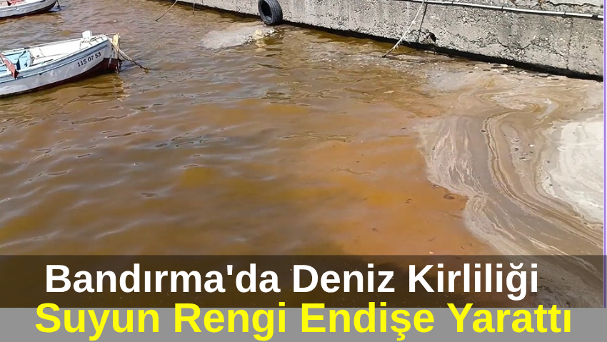 Bandırma Sahilinde Kirlilik Alarmı: Deniz Suyu Renk Değiştirdi