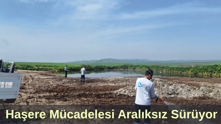 Güney Marmara’da Haşere Mücadelesi Aralıksız Sürüyor