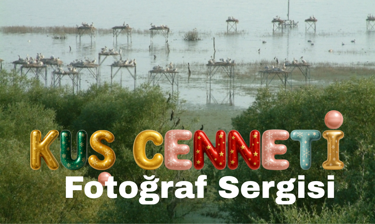 Kuş Cenneti Bandırma’da