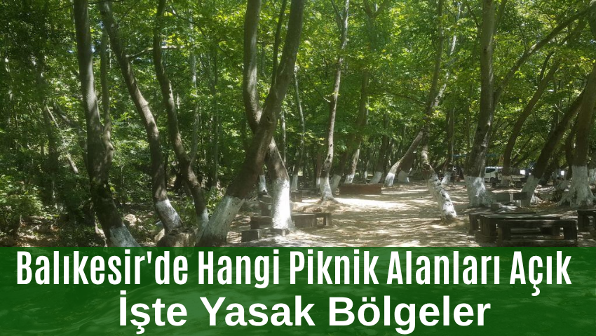 Balıkesir’de Yangın Sezonu Piknik Yasakları: Nerede Piknik Yapabilirsiniz?