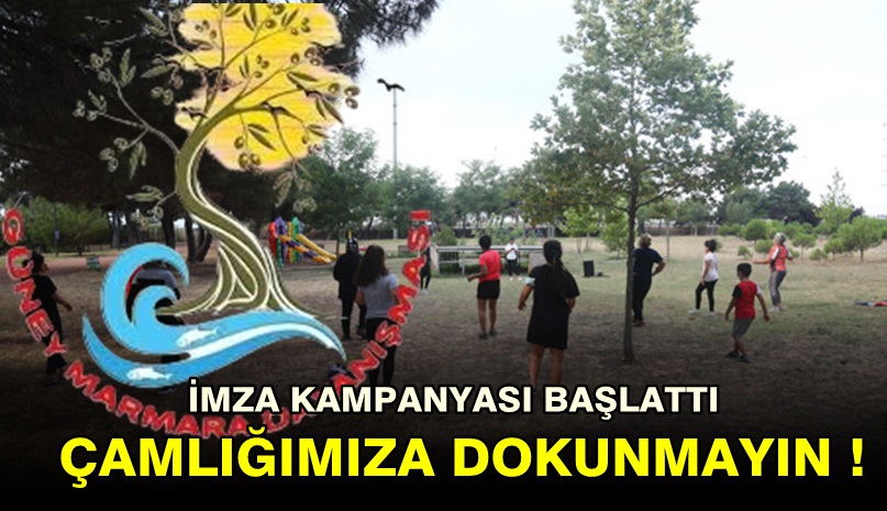 Güney Marmara Dayanışma Platformu’ndan İmza Kampanyası “Çamlığımıza Dokunmayın! “