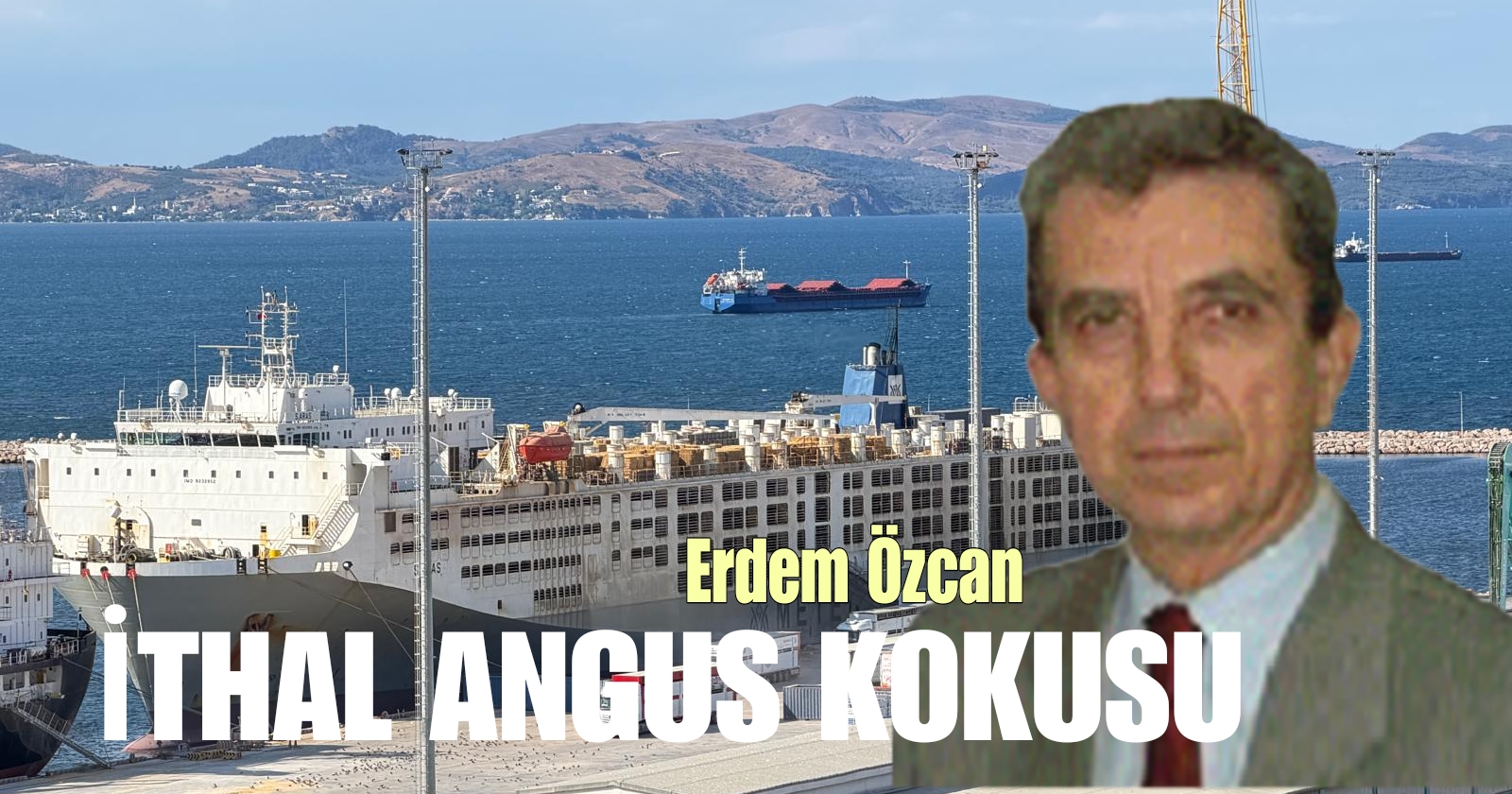 İthal Angus Kokusu / Erdem Özcan
