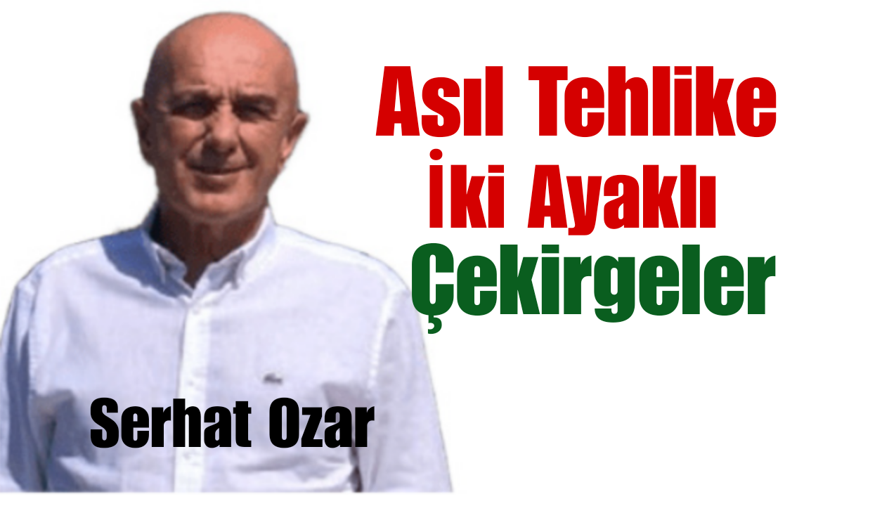 Asıl Tehlike İki Ayaklı Çekirgeler!