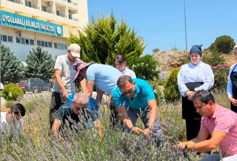 Burhaniye’de “Lavanta Kokulu Okul” Hasat Etkinliği