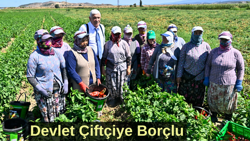 Dervişoğlu, Çeltikçi’de çiftçilerin tarlasını gezdi