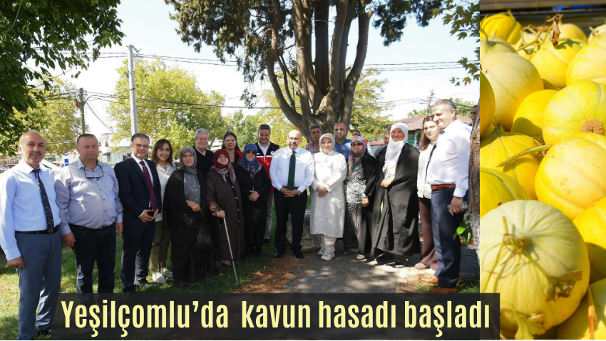 Vali Ustaoğlu üreticilerle birlikte hasat yaptı