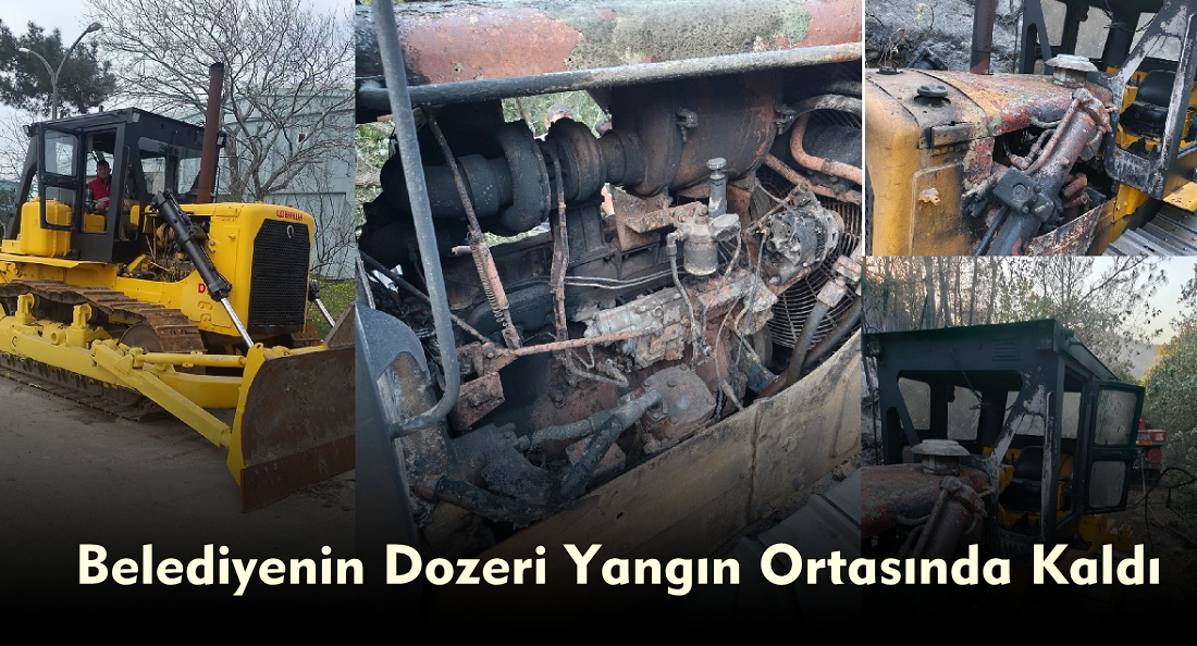 Susurluk Orman Yangınında Can Pazarı