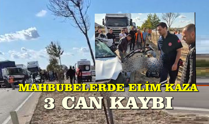 Bandırma Karacabey Yolunda Elim Kaza . 3  Can Kaybı
