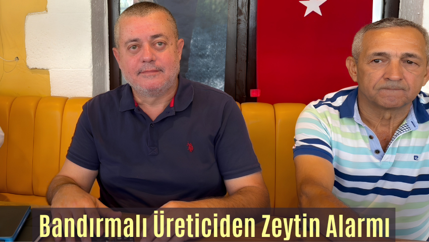 Zeytinde “Var Yılı” Geldi Ama Çiftçiye Kazanç Getirmedi