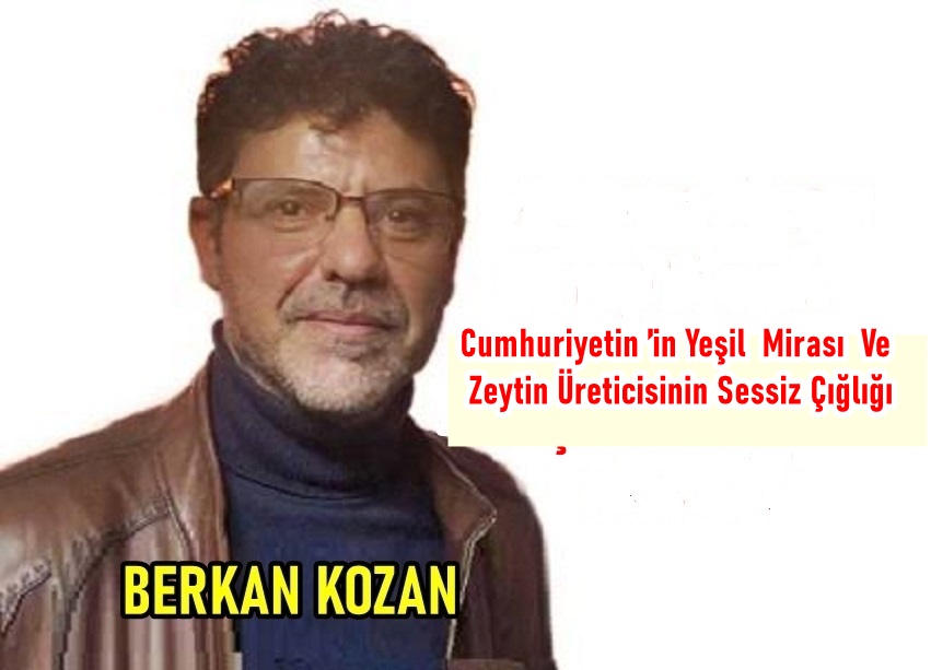 Cumhuriyetin ’in Yeşil Mirası Ve Zeytin Üreticisinin Sessiz Çığlığı
