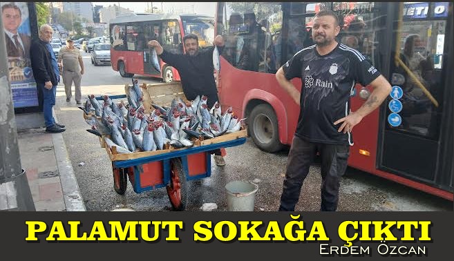 Ve Palamut Sokağa Çıktı!
